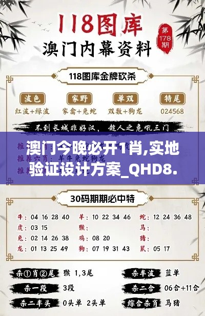 澳门今晚必开1肖,实地验证设计方案_QHD8.322