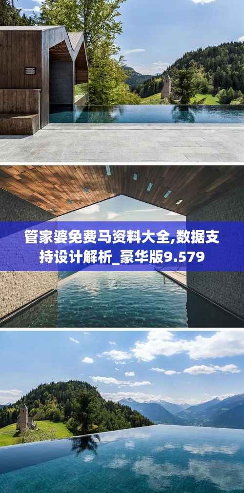 管家婆免费马资料大全,数据支持设计解析_豪华版9.579