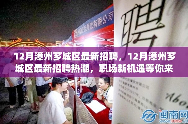 12月漳州芗城区最新招聘热潮，职场新机遇挑战不断