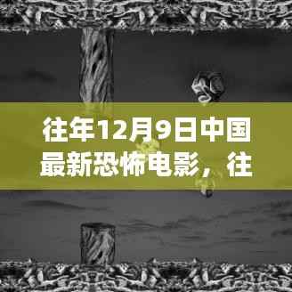 往年12月9日中国最新恐怖电影，惊悚之旅的震撼首映