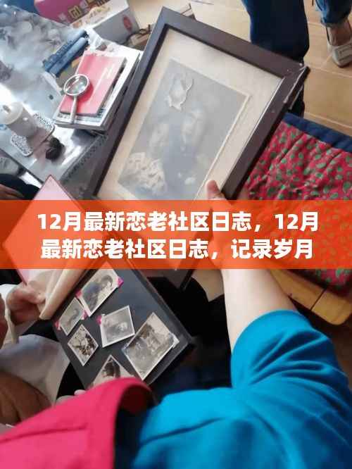12月最新恋老社区日志，记录温情与成长的岁月