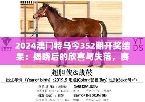 2024澳门特马今352期开奖结果:揭晓后的欣喜与失落,赛马的魅力一览无余