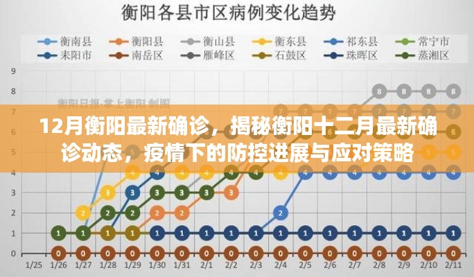 揭秘衡阳最新确诊动态,疫情下的防控进展与应对策略