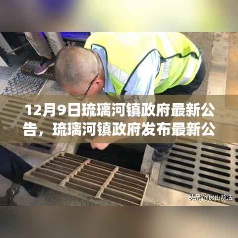 琉璃河镇政府最新公告，政策解读与民生实事展望（12月9日更新）