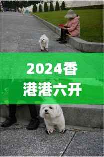 2024香港港六开奖记录353期,动态词语解释定义_PT8.116