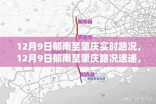 12月9日郁南至肇庆路况实时更新,畅通行驶与细节关注