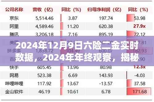 揭秘，2024年终观察下的六险二金实时数据背后的故事与年终观察分析