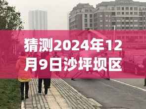 揭秘未来，预测与应对策略——2024年12月9日沙坪坝区实时疫情展望与行动指南