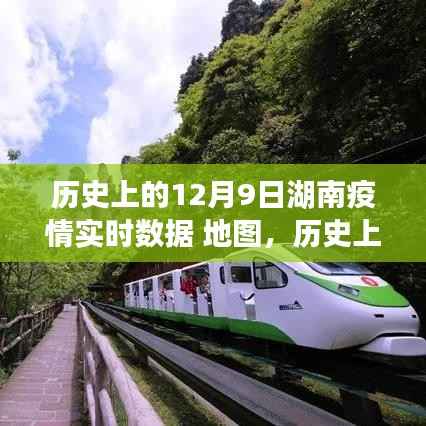 揭秘湖南疫情实时数据地图背后的故事，特殊日子里的疫情数据解析（十二月九日篇）