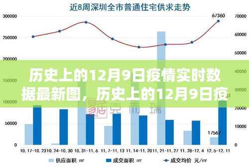 全球疫情动态分析，历史上的十二月九日疫情实时数据最新图回顾与趋势预测