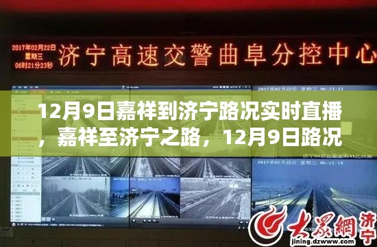 步履如飞 第5页