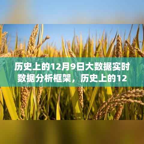 大数据实时分析框架下的数据洞察之旅,历史上的12月9日回顾与展望