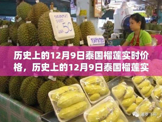 探寻榴莲价格时空之旅，泰国榴莲实时价格回顾与解析（历史篇）