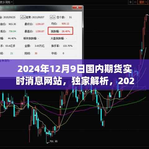 独家解析，2024年12月9日国内期货市场走势及实时消息前沿洞察报告