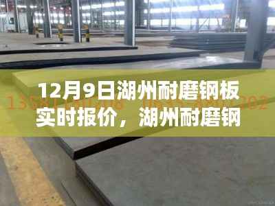 湖州耐磨钢板市场深度观察与实时报价，行业洞察及市场趋势分析（12月9日）