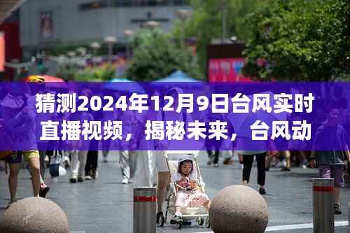 揭秘未来台风动态，直击2024年台风实时直播，揭秘未来台风趋势与现场状况分析！