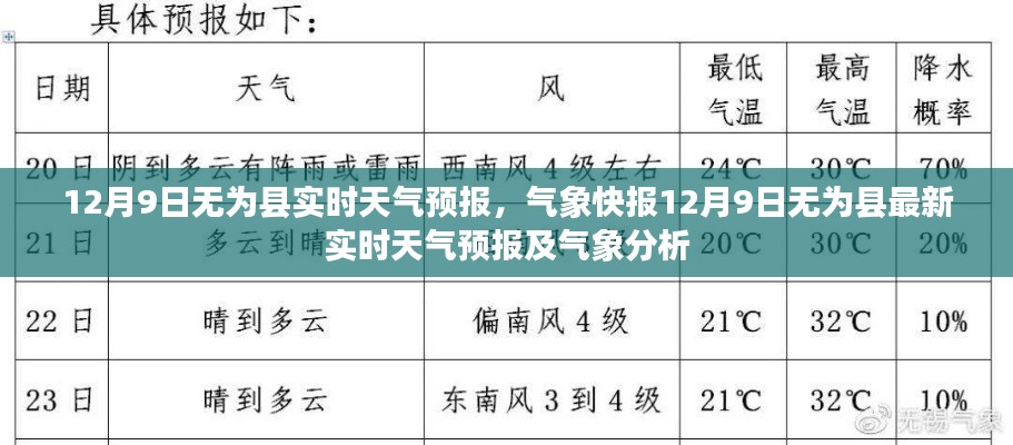 粗枝大叶 第5页