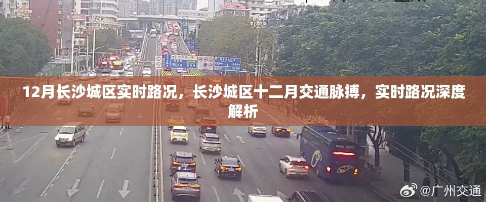长沙城区十二月实时路况深度解析,把握城市交通脉搏