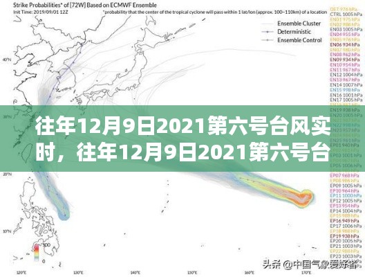 风雨无阻，往年12月9日第六号台风下的坚守与前行纪实