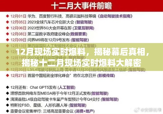 揭秘幕后真相，十二月现场实时爆料大解密揭秘曝光