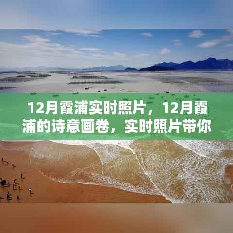 12月霞浦的诗意画卷，实时照片领略冬日神韵