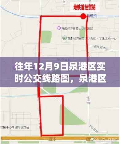 泉港区往年12月9日实时公交线路图概览与实时运行信息解析