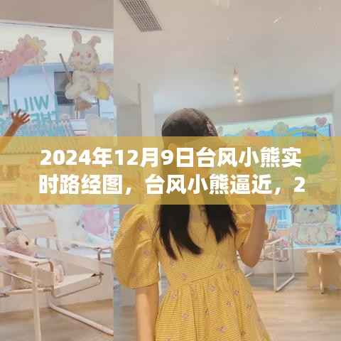 台风小熊逼近，2024年12月9日实时路径图深度解析与最新动态