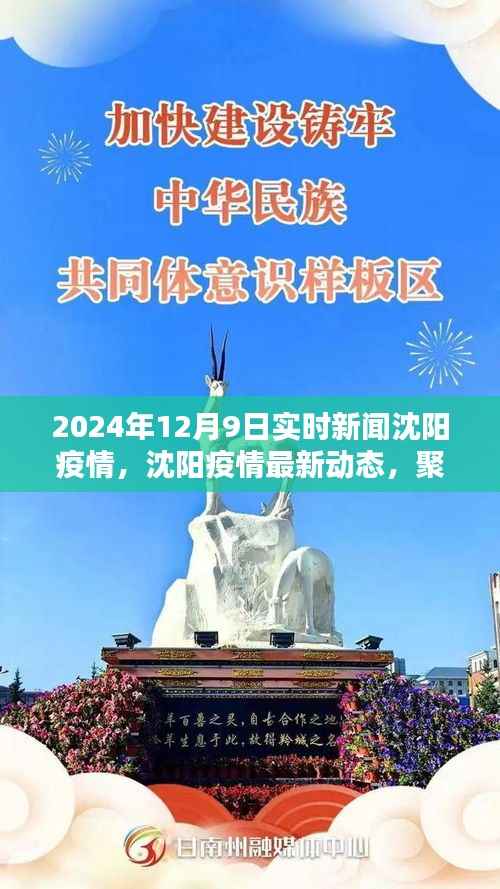 沈阳疫情最新动态，聚焦实时新闻报道