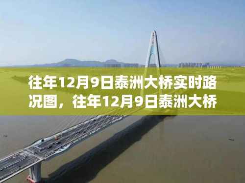 往年12月9日泰洲大桥实时路况深度解析与交通脉搏揭秘