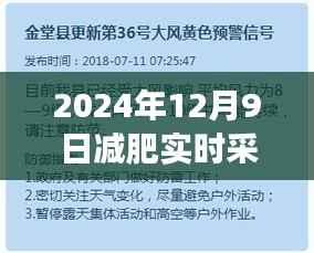 减肥之路，聚焦深度实时采访记录与洞察——2024年12月9日