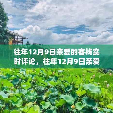 时光回响，亲爱的客栈 12月9日实时评论与情感点滴