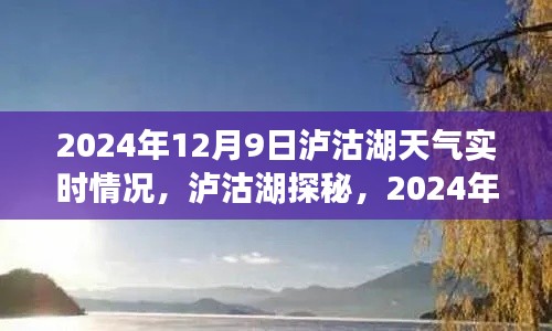 泸沽湖探秘，揭秘泸沽湖天气实时报告，2024年12月9日最新天气情况分析