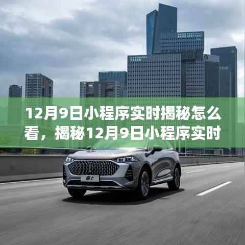 揭秘12月9日小程序实时动态，新功能引领智慧生活潮流