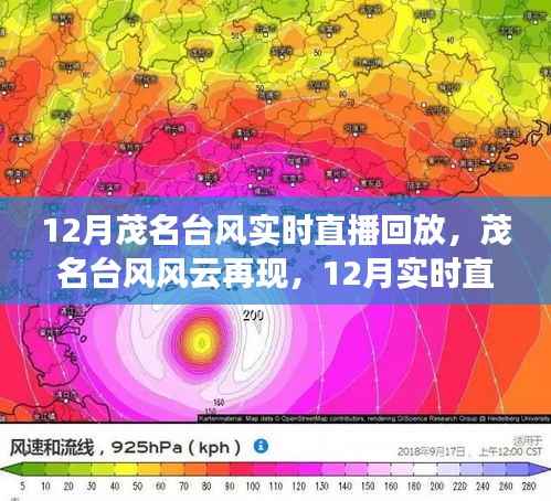茂名台风风云再现，深度解析与实时直播回放回顾