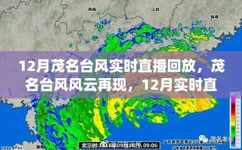 茂名台风风云再现,深度解析与实时直播回放回顾