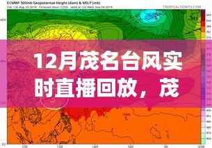 茂名台风风云再现,深度解析与实时直播回放回顾