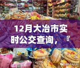 12月大冶市实时公交详解，掌握公交出行，同步城市脉搏