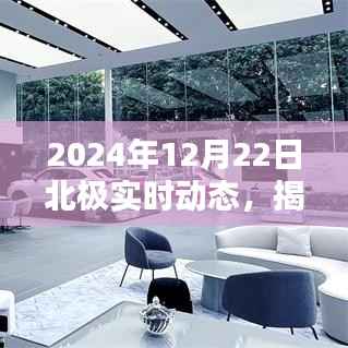 揭秘北极新纪元，2024年12月22日北极实时动态探索与揭秘