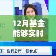 揭秘十二月基金市场实时交易机制，能否实时买入与把握投资机会全面解读