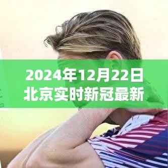 北京聚焦，揭秘2024年12月22日新冠实时动态与最新消息更新报告