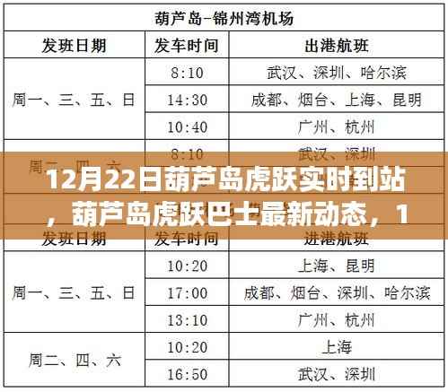葫芦岛虎跃巴士最新动态，12月22日实时到站信息解析
