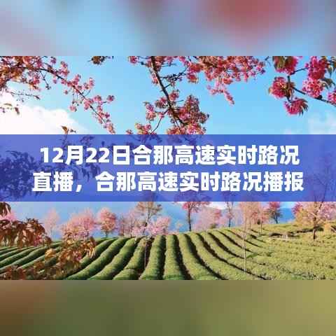 冬至日合那高速实时路况直播，掌握最新路况信息，一路畅行播报