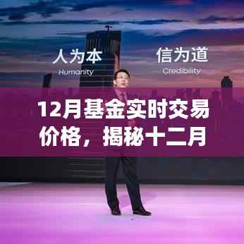 揭秘十二月基金实时交易价格波动背后的策略与洞察之道