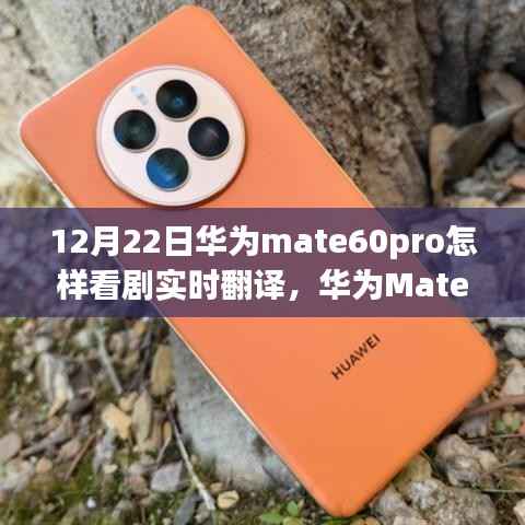 华为Mate 60 Pro实时翻译看剧新功能揭秘，科技魔法下的新体验（12月22日）
