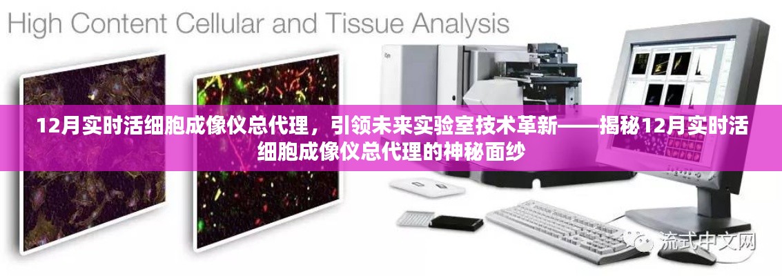 揭秘，实时活细胞成像仪总代理引领实验室技术革新之路