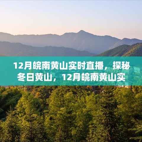 探秘冬日黄山，实时风光直播之旅，领略黄山之美