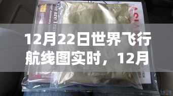 全球飞行航线实时动态解析，12月22日世界飞行航线图瞭望与解析