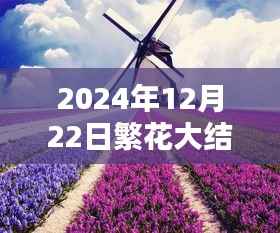 繁花大结局实时揭秘与深度探讨，全景解析2024年12月22日