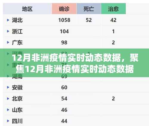 12月非洲疫情实时动态数据解析，挑战与应对策略聚焦