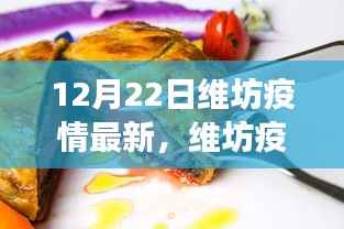 12月22日维坊疫情最新动态及深度解析，防控进展报告